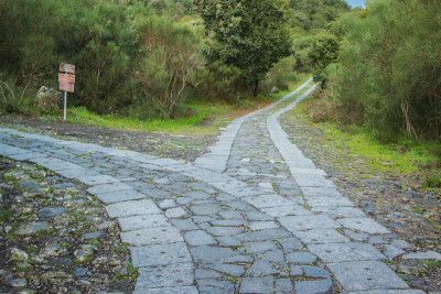 这条路通向一个岔路口。你会选择哪一个?