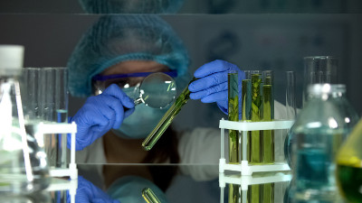 生物化学家用放大镜研究绿色植物试管，提取
