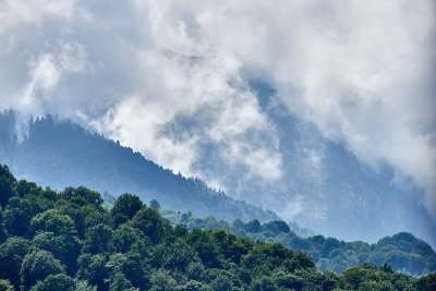 云雾缭绕，山坡绿油油。