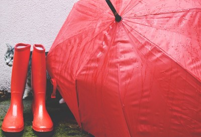 红伞，红雨靴，猫在户外
