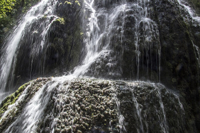 Catarata