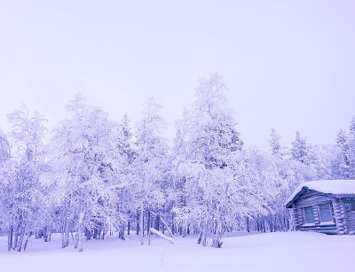 有房子的雪林