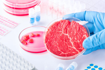 在现代化的实验室或生产设备中，将肉类样品放在塑料细胞培养皿中。以清洁细胞为基础的肉类概念。由动物细胞