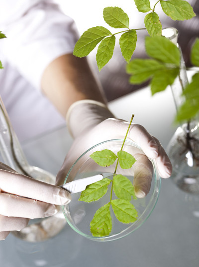 生物技术