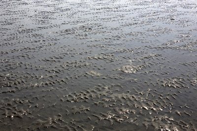 海水冲刷沙滩的痕迹。Trouville-sur-Mer。苹果白兰地酒。库。法国。