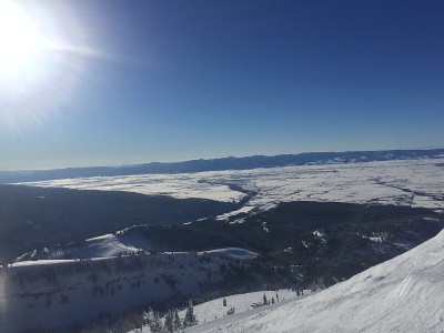 白雪覆盖着山和树