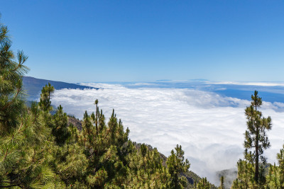 云中有泰德火山的山景
