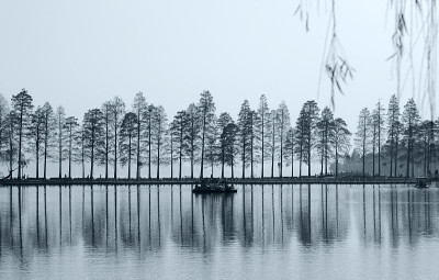 湖和树