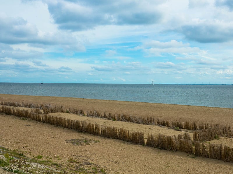 干海滩草在北海海滩附近的德库格特塞尔。国家公园Duinen van Texel, Texel岛，荷兰