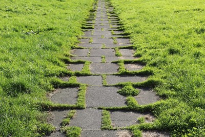 人行道石板，路径和草坪草