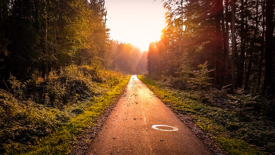 在乡村道路上驾驶