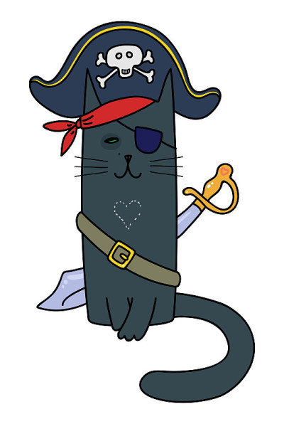 海盗猫