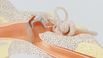 3d渲染结构的人的耳朵。三维演示