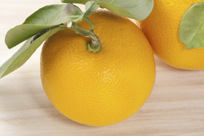 Hassaku
