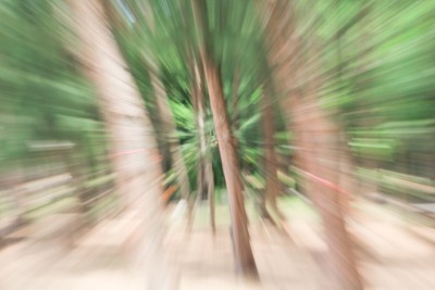 绿色的树木模糊背景，速度变焦效果