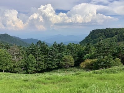 海拔2000米的宇津原高原夏季风光