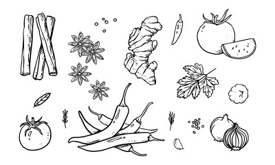 一套蔬菜，水果和香料手绘矢量插图。