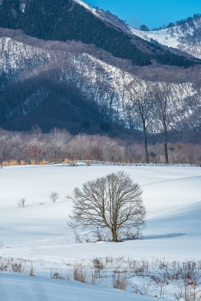 水蛭高原的冬季景色