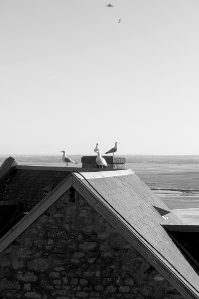 Le Mont-Saint-Michel