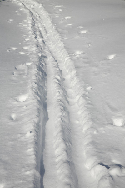 越野滑雪道