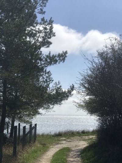 吕根Coastline