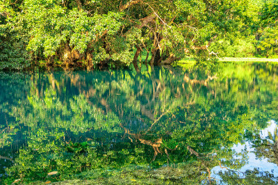 Matevulu Creek - Espiritu saint