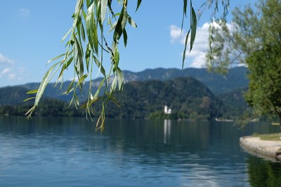 湖流血
