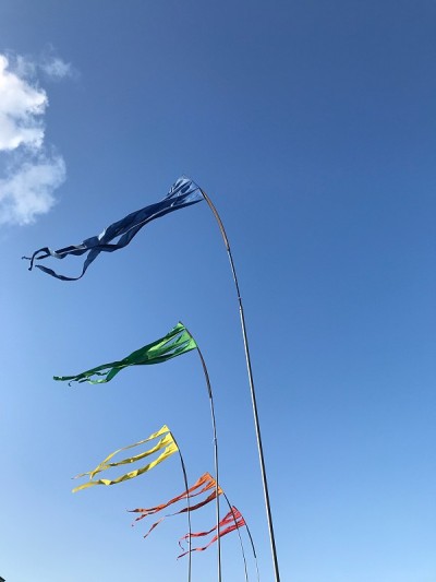 五面旗子迎风飘扬