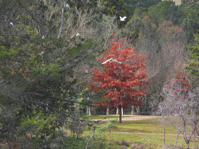 Beechworth,维多利亚,澳大利亚