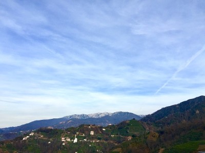 红茶新茶村