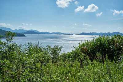 岛的忽视