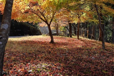 日本秩父风景