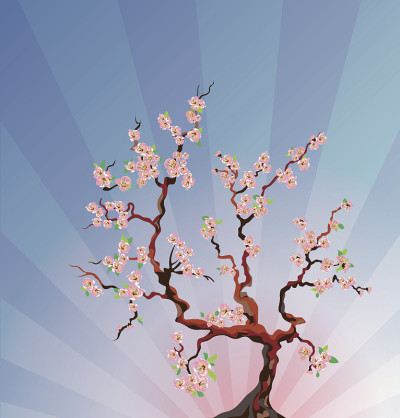 樱花