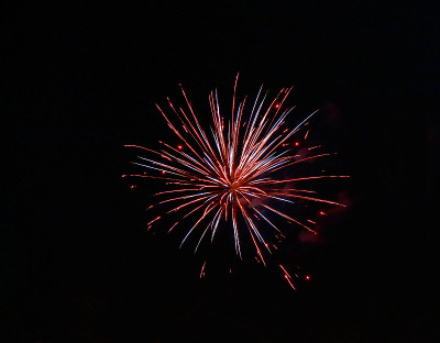 庆祝烟花在漆黑的夜空