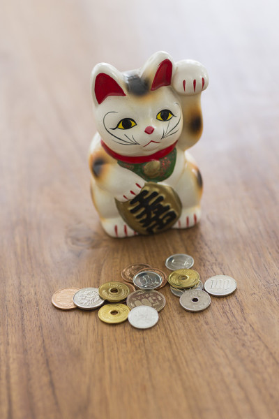召唤猫和硬币