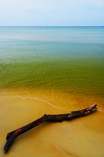 海景与浮木在海滩上。