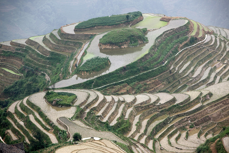 中国龙脊梯田