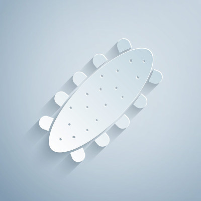 Paper cut Sea cucumber icon isolated on grey backg
