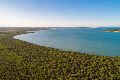 西港湾沿岸湿地-鸟瞰图