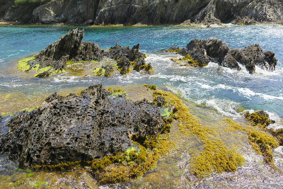 Porquerolles岛，大海和岩石