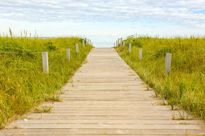 宾兹波罗的海海滩的木制小路，Rügen