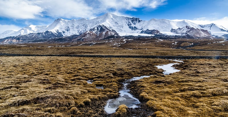 雪山Animaqin