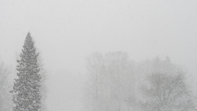 树木和大雪，大大降低了能见度。标准的芬兰冬天