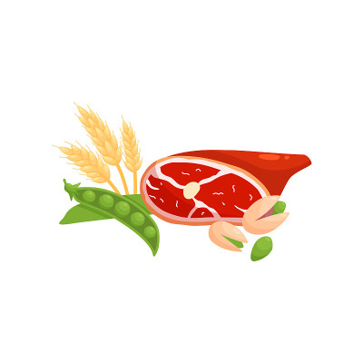 食物成分-新鲜肉类，小麦，开心果和绿豆-平面矢量插图孤立在白色。