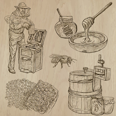蜜蜂，养蜂和蜂蜜-手绘矢量包11