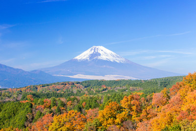 从箱根山口附近看富士山