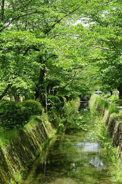 哲学家的道路