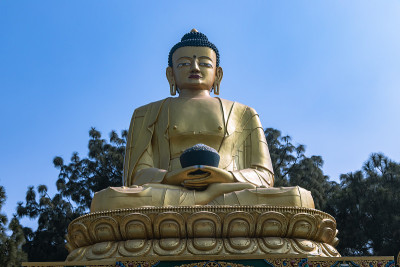 佛陀公园的金像