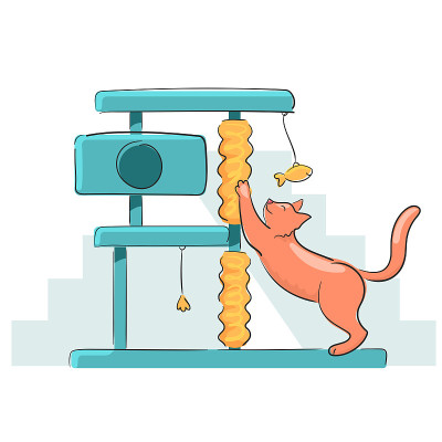 红猫在动物游乐区
