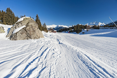 俯瞰高山滑雪胜地的滑雪道